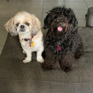 Meet your Posher, Marisol